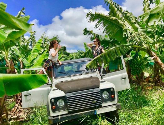 Safari 4X4 en Basse Terre